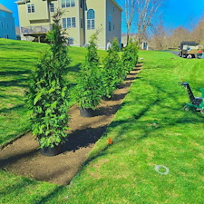 Privacy-Screening-Installation-in-Shelton-CT 2